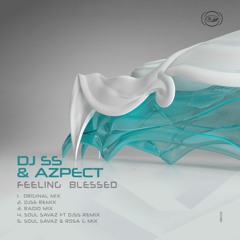 DJSS & Azpect - Feeling Blessed (Soul Savaz & Rosa G Remix)