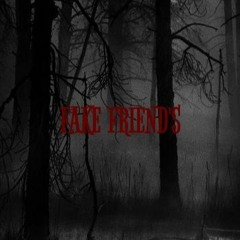 Fake Friends "ft pnut - prod. eeryskies" lyrics below