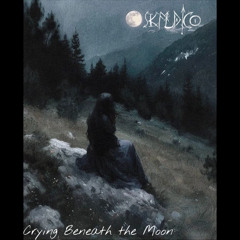 Moonlight Desolate