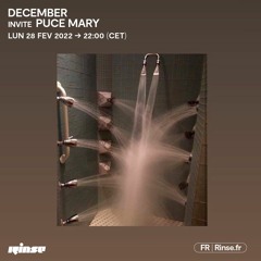 RINSE FRANCE - December Radioshow #61 w. Puce Mary