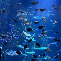 C:\bsyke\summer\forget_it\ilu.mp3