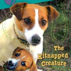 Open PDF The Kitnapped Creature (Jack Russell: Dog Detective) by  Darrel and Sally Odgers &  Janine