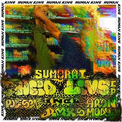 SUMORAI - Acid Livs [HK32]