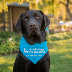 K9 Buddy Curriculum - VFA FAQ