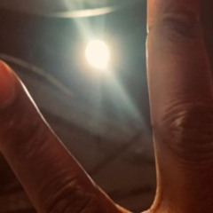lightWork