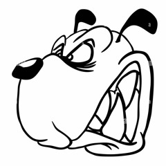 bitch im a bitch [dj tool]