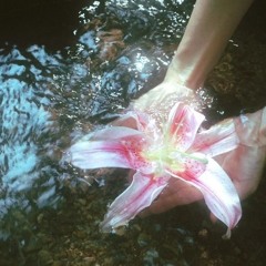 liquid