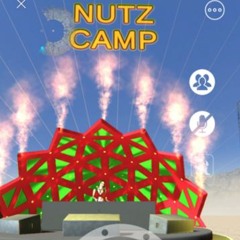 2020-09-04 Virtual Burn-All Day We Nutz!