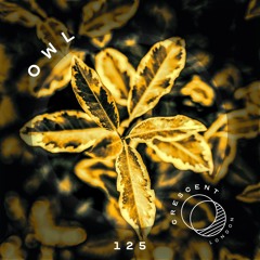• Crescent Textures #125 • OWL