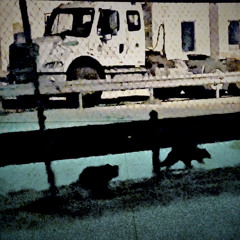 vans? what do you mean you're rebranding to cars?!