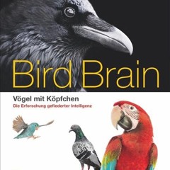 Bildband Vögel: Überflieger. Vögel mit Köpfchen. National Geographic präsentiert wunderschön illus