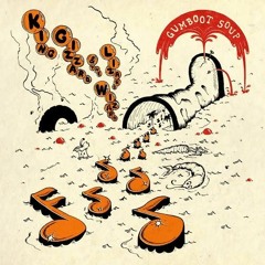 King Gizzard & The Lizard Wizard - Beginner's Luck (Acoustic)
