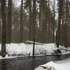 yungRU