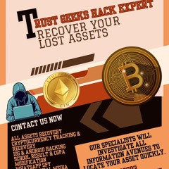 HOW TO SAFELY RECOVER YOUR CRYPTO FUNDS// CONTACT TRUST GEEKS HACK EXPERT