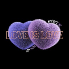 Zahra Deljoui - Love Is Love (Maydenfield Remix)