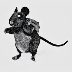PAC RAT