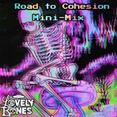 Road to Cohesion Mini Mix!