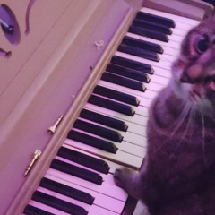 lcat played a tune