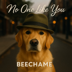 No One Like You