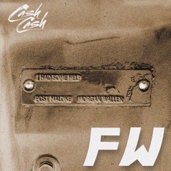 Post Malone (ft. Morgan Wallen) X Cash Cash - I Had Some Help X I Found You (Frank Williams Mashup)