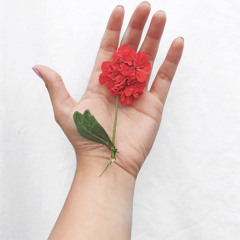 Ser comprensivos -Filipenses 4:5-6