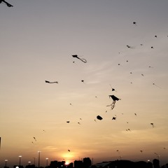 những chuyến tàu mùa hè