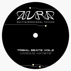 PREMIERE: Vilchezz - Skubb [AURAVA04]