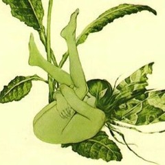 *mientras voy cayendo*