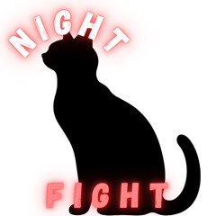 Night_fight