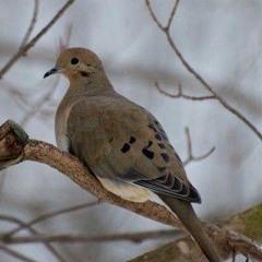 ✧ just be competent