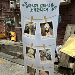 고민중독