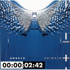 Angel (Wipe Out)