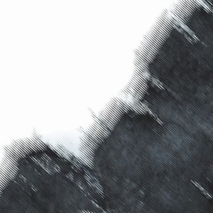 Immunity (holloway flip)