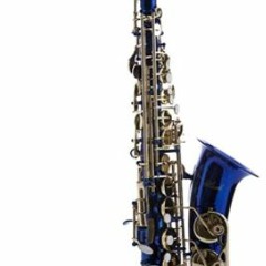 the sax battle alto sax VS tenor sax