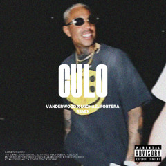 BIZZEY & FRENNA - CULO (VANDERWOOD & MICHAEL FORTERA REMIX)