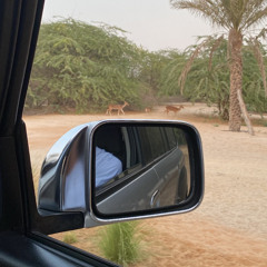 ظبياني