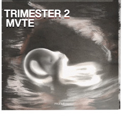 Beauty Cravings (prod. by Theisy)