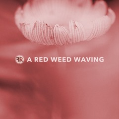 A red weed waving