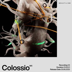 Beautilism Recording with Colossio - 20.06.25