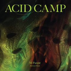 Fucked Acid