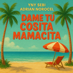 YNY Sebi x Adrian Norocel - Dame Tu Cosita Mamacita | SmonGer Remix