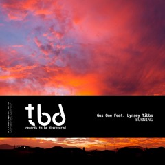 Burning (Feat. Lynsey Tibbs)[TBD / Blanco Y Negro Records]