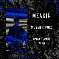 MESMER #012 - MEAKIN Live From Star Of Kings, London