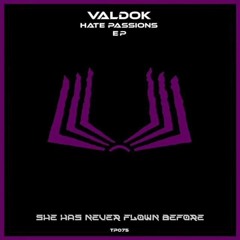 VALDOK - She Has Never Flown Before (Original Mix) [Teoría Perfekta]