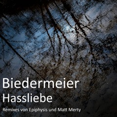 Hassliebe (Matt Merty Remix)