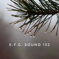 E.F.G. Sound 132