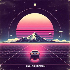 Analog Horizon