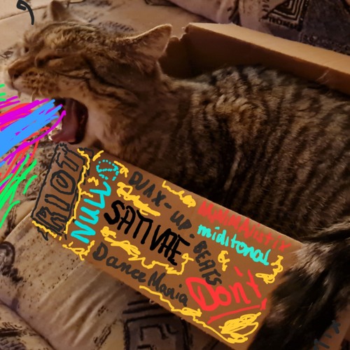 Schabernack gonna hurt somebody 23.03.25.mp3