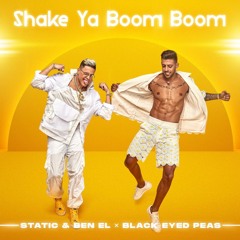Static & Ben El Tavori, Black Eyed Peas - Shake Ya Boom Boom (IdanSade Edit)