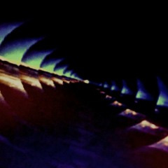 Inverted Consciousness